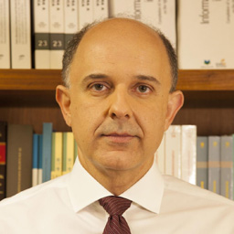 Ricardo Perlingeiro Mendes da Silva
